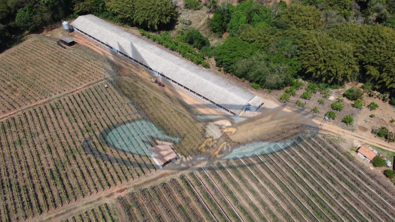 Fazenda à venda com 3 quartos, 27500m² - Foto 1