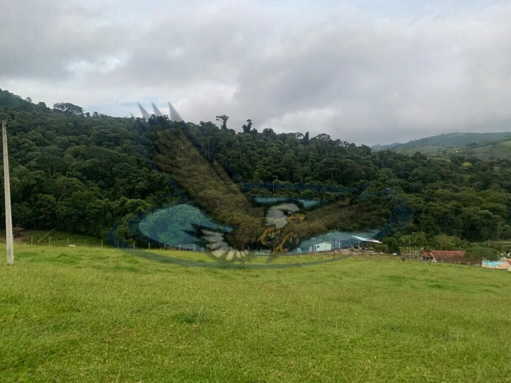 Fazenda à venda com 3 quartos, 156000m² - Foto 15