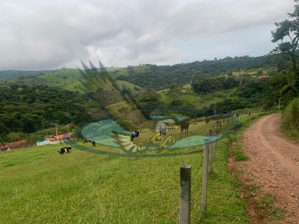 Fazenda à venda com 3 quartos, 156000m² - Foto 16