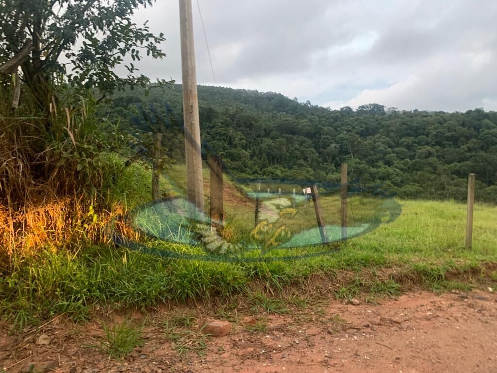 Fazenda à venda com 3 quartos, 156000m² - Foto 20