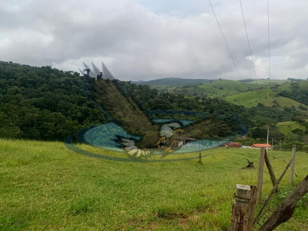 Fazenda à venda com 3 quartos, 156000m² - Foto 17