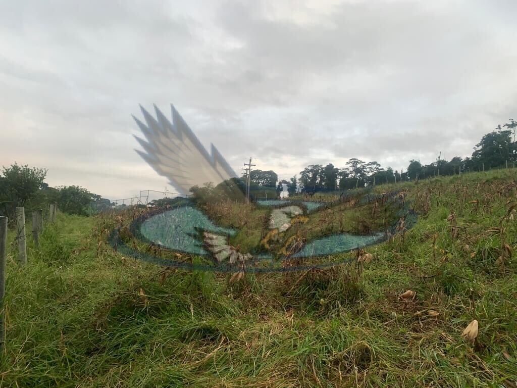 Fazenda à venda com 3 quartos, 156000m² - Foto 8