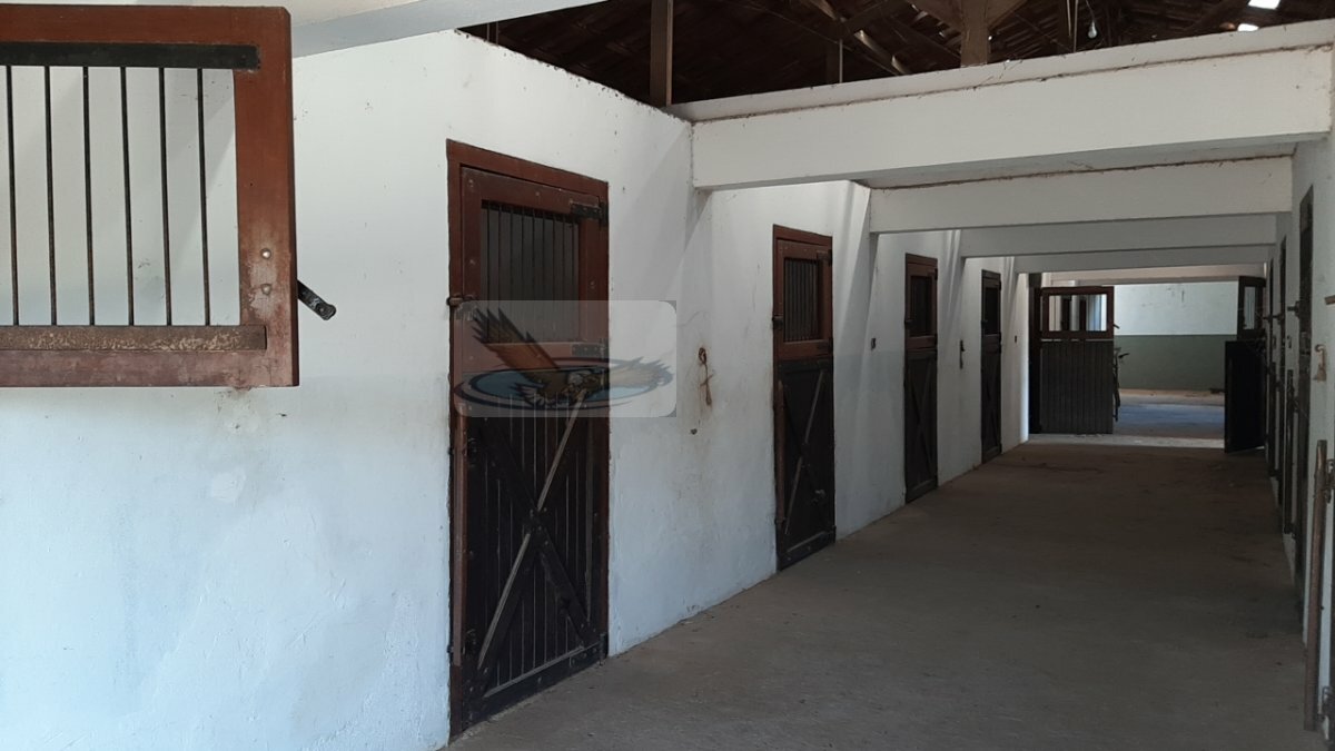 Fazenda à venda com 8 quartos, 100000m² - Foto 14