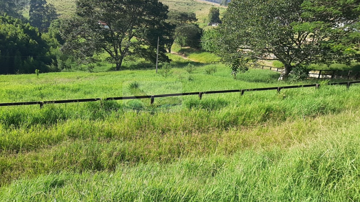 Fazenda à venda com 8 quartos, 100000m² - Foto 11