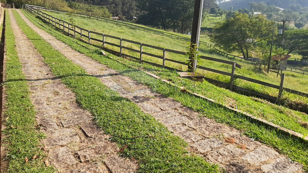 Fazenda à venda com 8 quartos, 100000m² - Foto 10