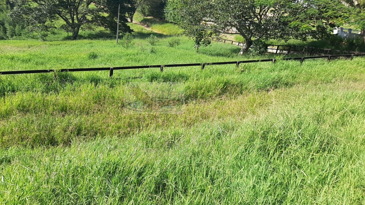 Fazenda à venda com 8 quartos, 100000m² - Foto 20