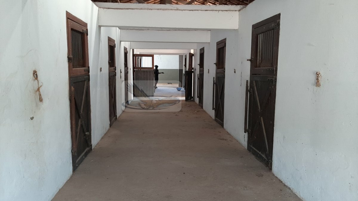 Fazenda à venda com 8 quartos, 100000m² - Foto 16