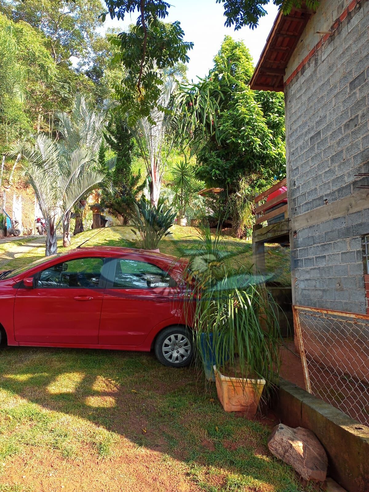 Fazenda à venda com 2 quartos, 1065m² - Foto 3