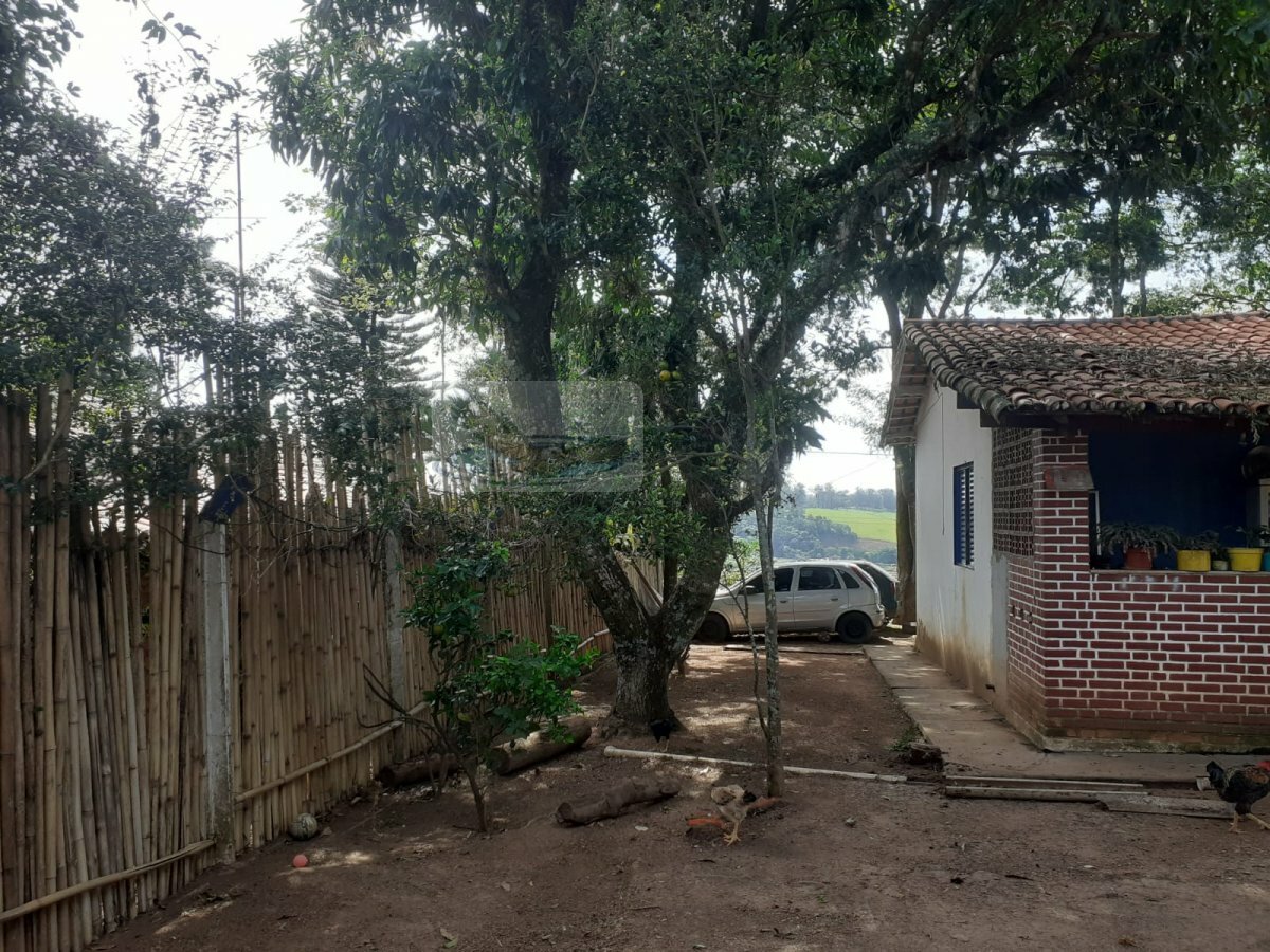 Fazenda à venda com 3 quartos, 1000m² - Foto 10