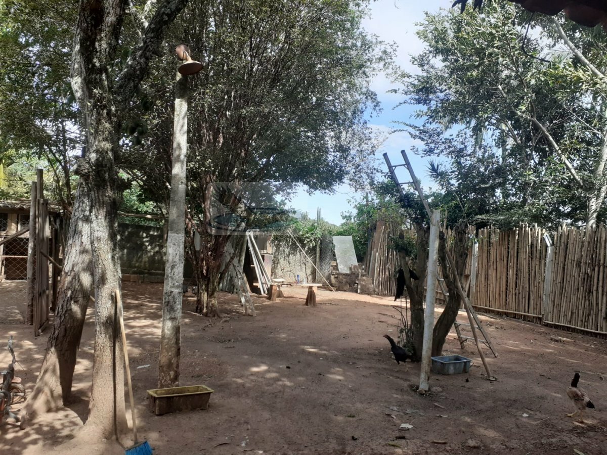 Fazenda à venda com 3 quartos, 1000m² - Foto 4