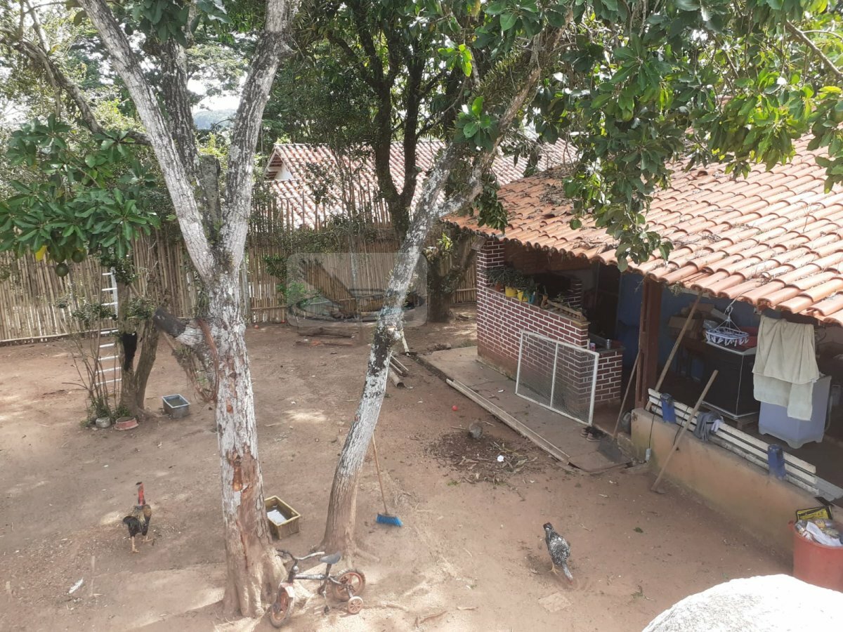 Fazenda à venda com 3 quartos, 1000m² - Foto 5