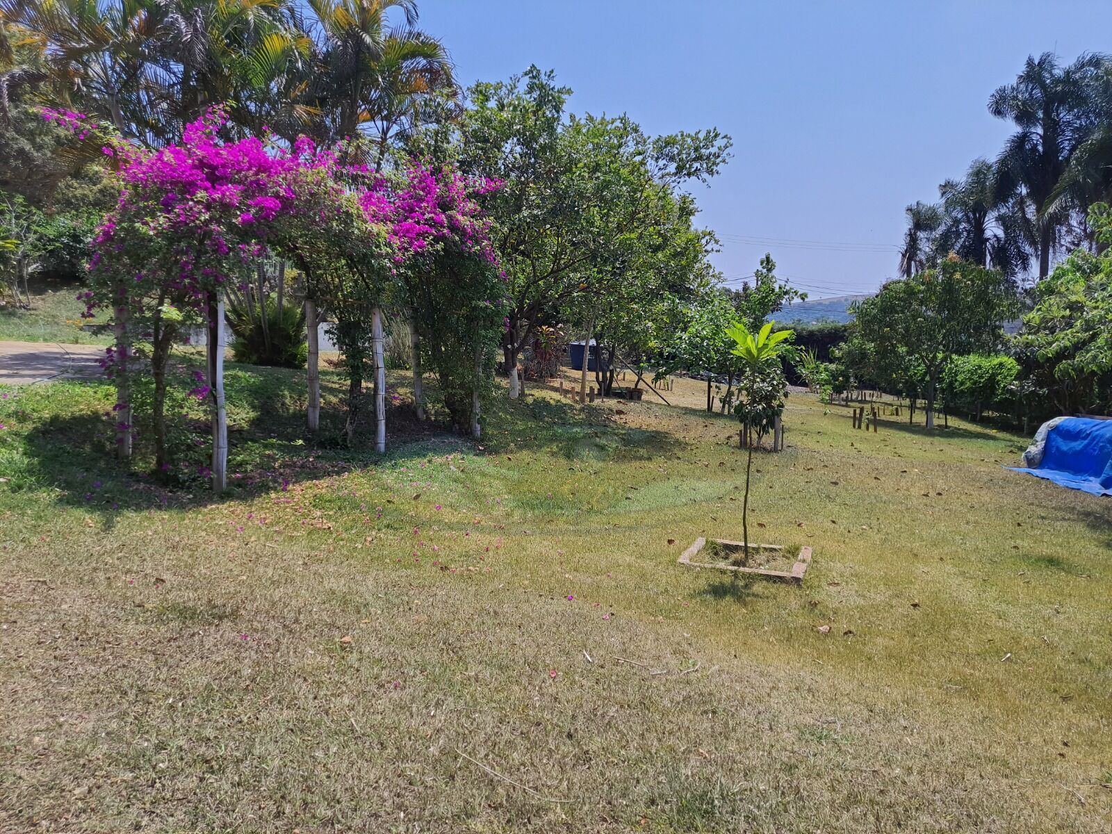 Chácara à venda com 3 quartos, 3157m² - Foto 24