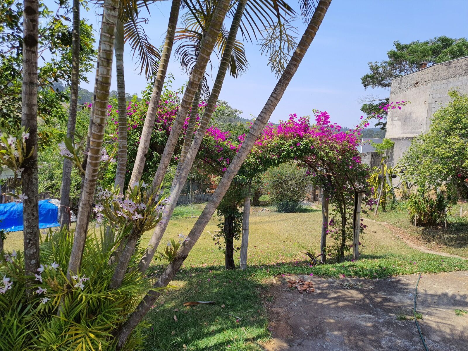 Chácara à venda com 3 quartos, 3157m² - Foto 25