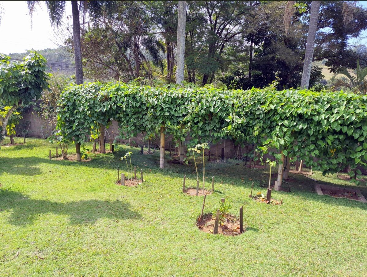 Chácara à venda com 3 quartos, 3157m² - Foto 12