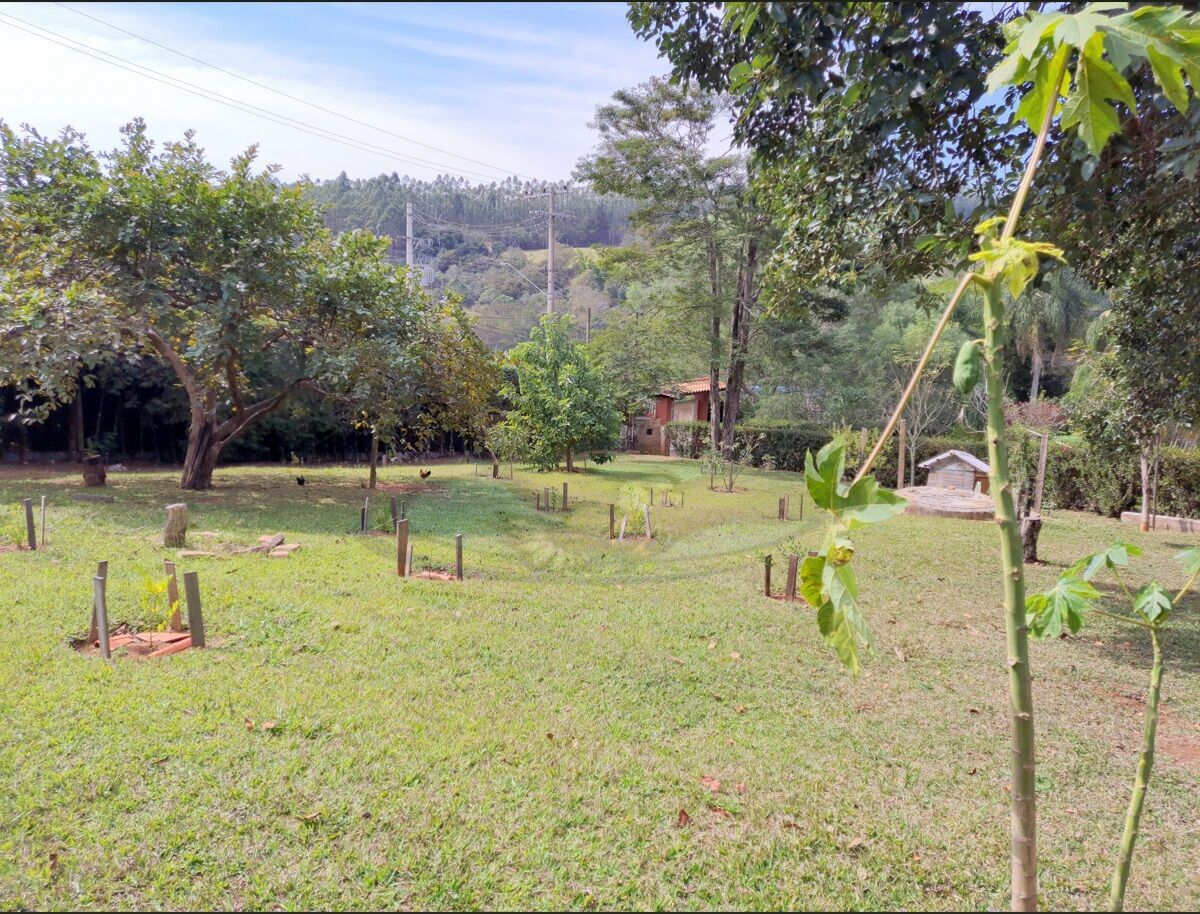 Chácara à venda com 3 quartos, 3157m² - Foto 10