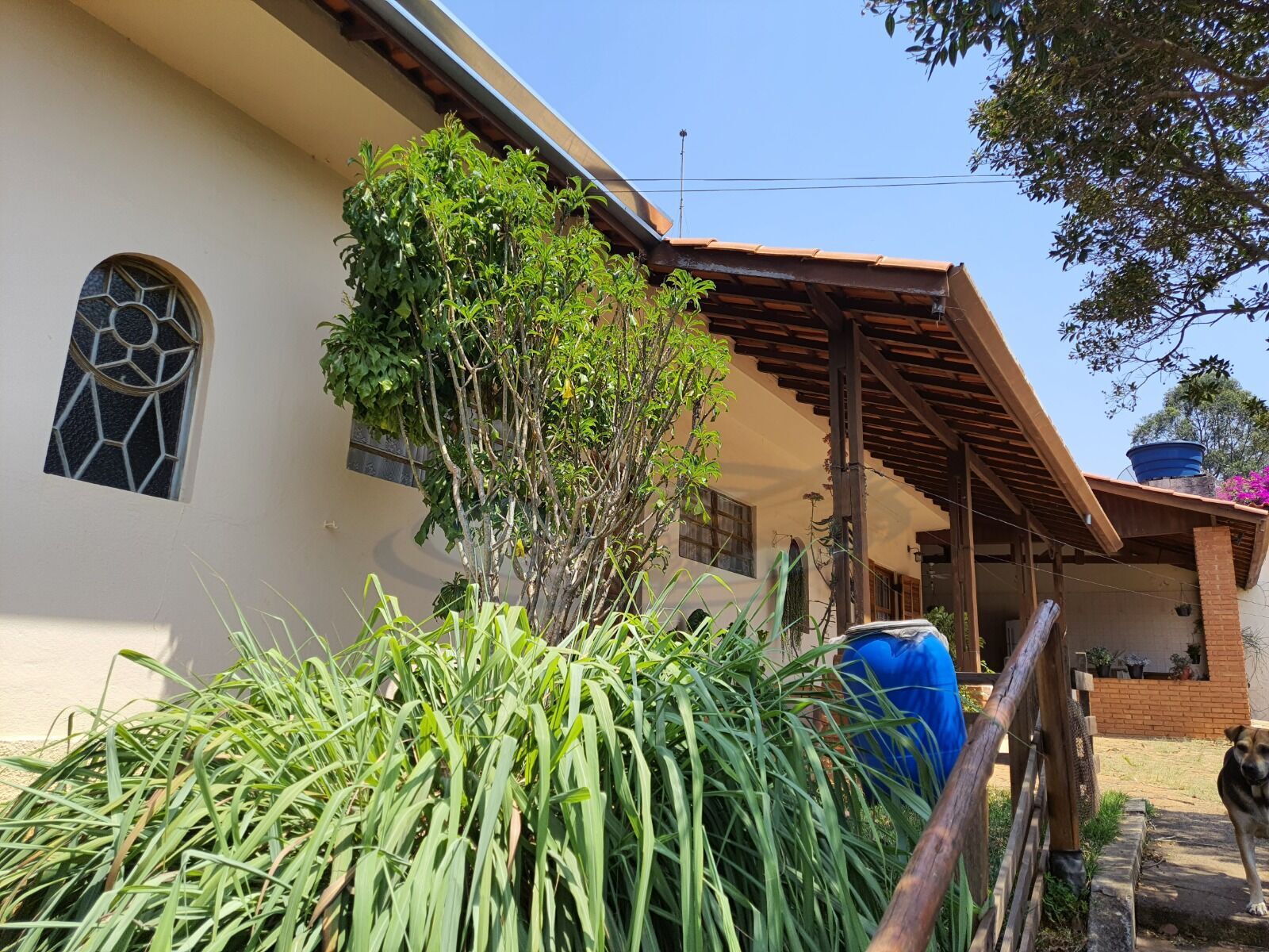 Chácara à venda com 3 quartos, 3157m² - Foto 22