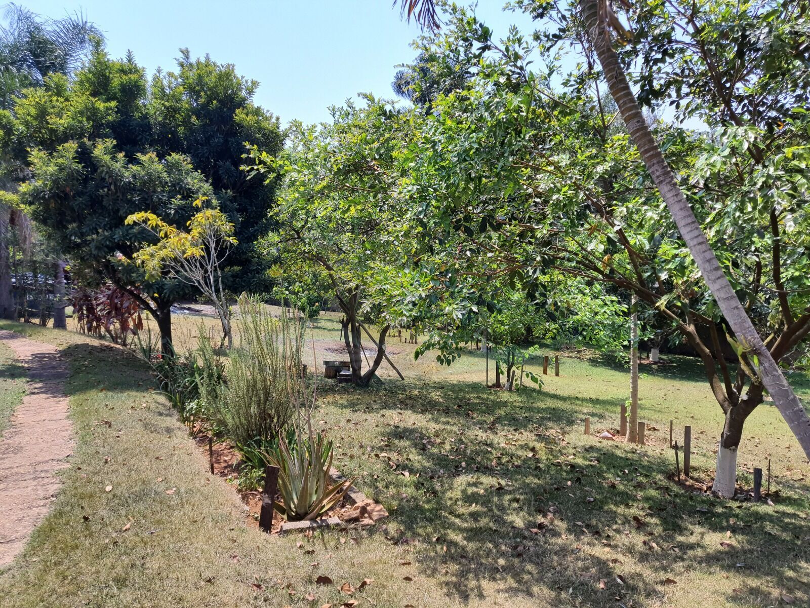 Chácara à venda com 3 quartos, 3157m² - Foto 28
