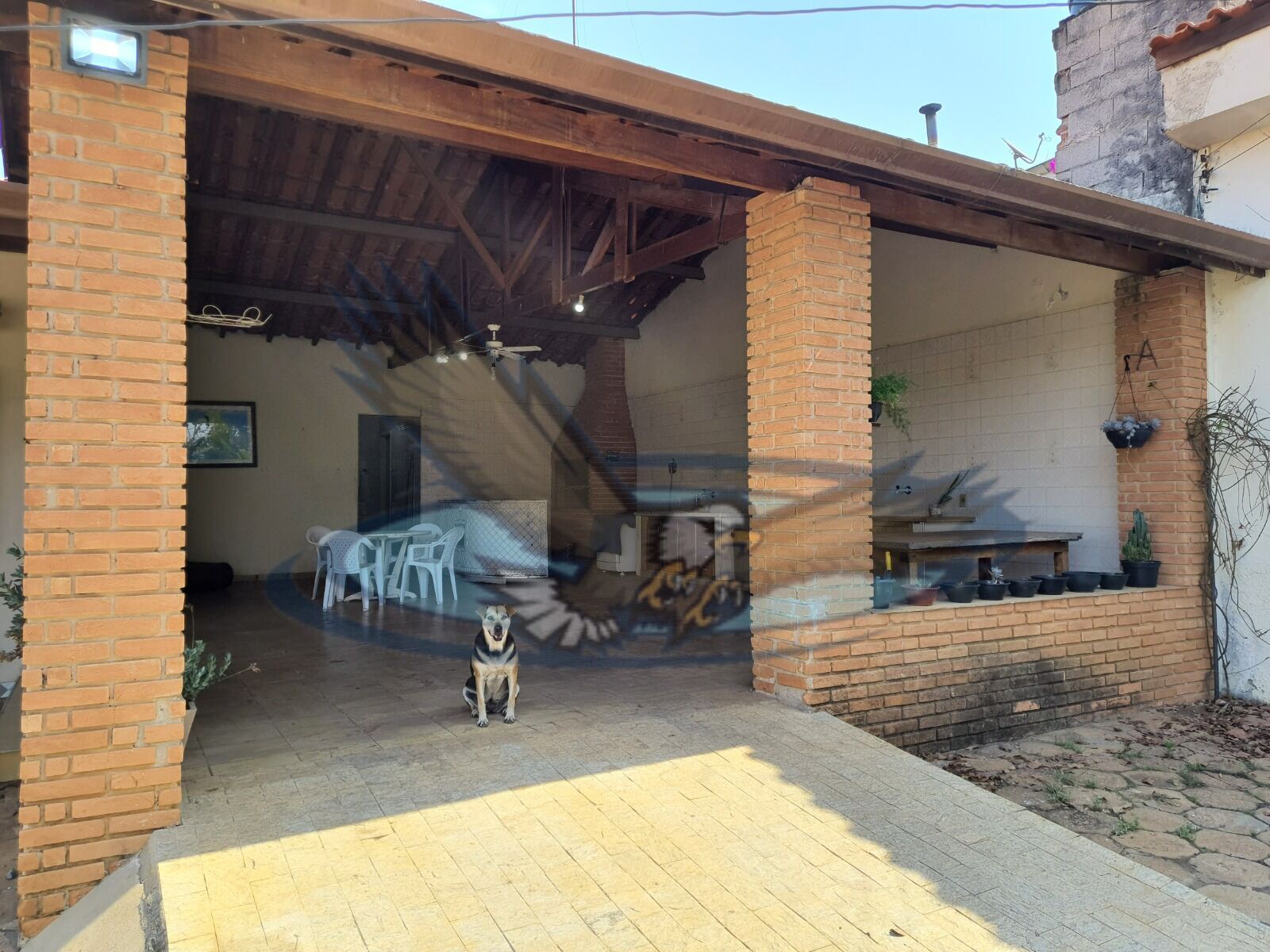 Fazenda à venda com 3 quartos, 3157m² - Foto 18