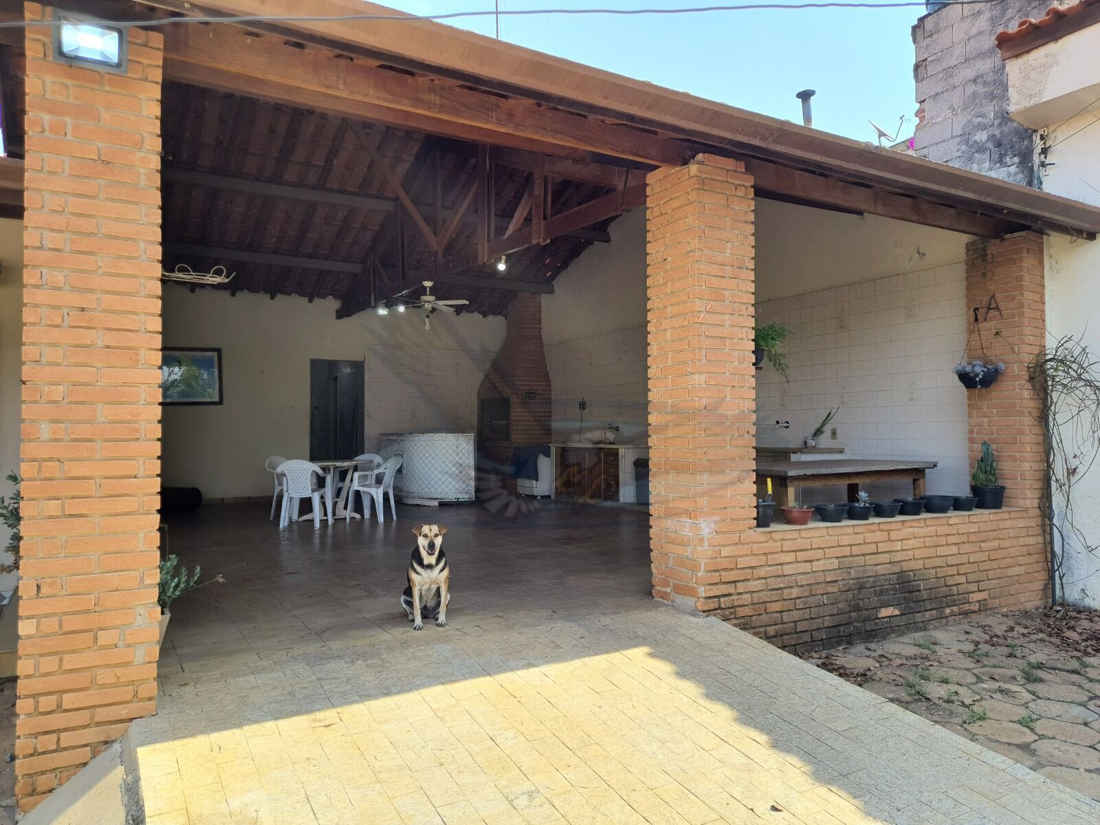 Chácara à venda com 3 quartos, 3157m² - Foto 18