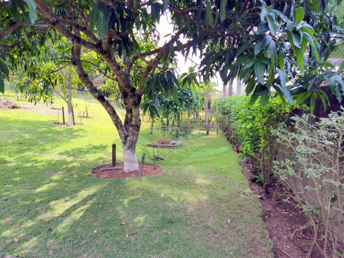 Chácara à venda com 3 quartos, 3157m² - Foto 13