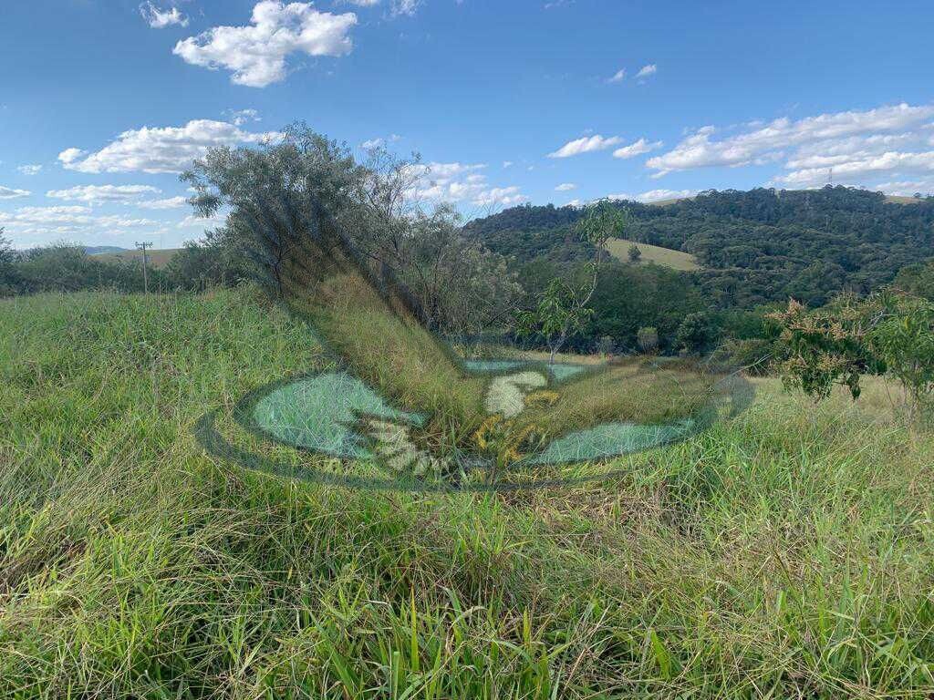 Fazenda à venda com 2 quartos, 22000m² - Foto 19