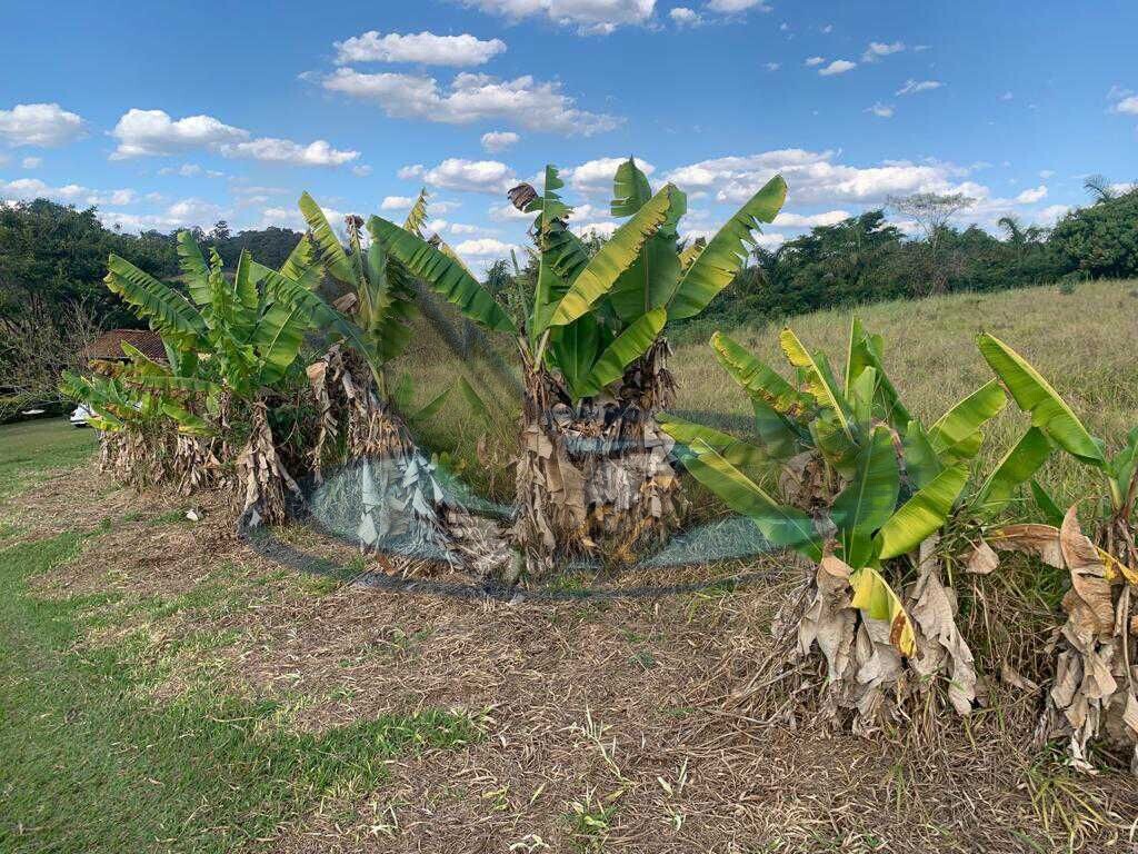 Fazenda à venda com 2 quartos, 22000m² - Foto 10