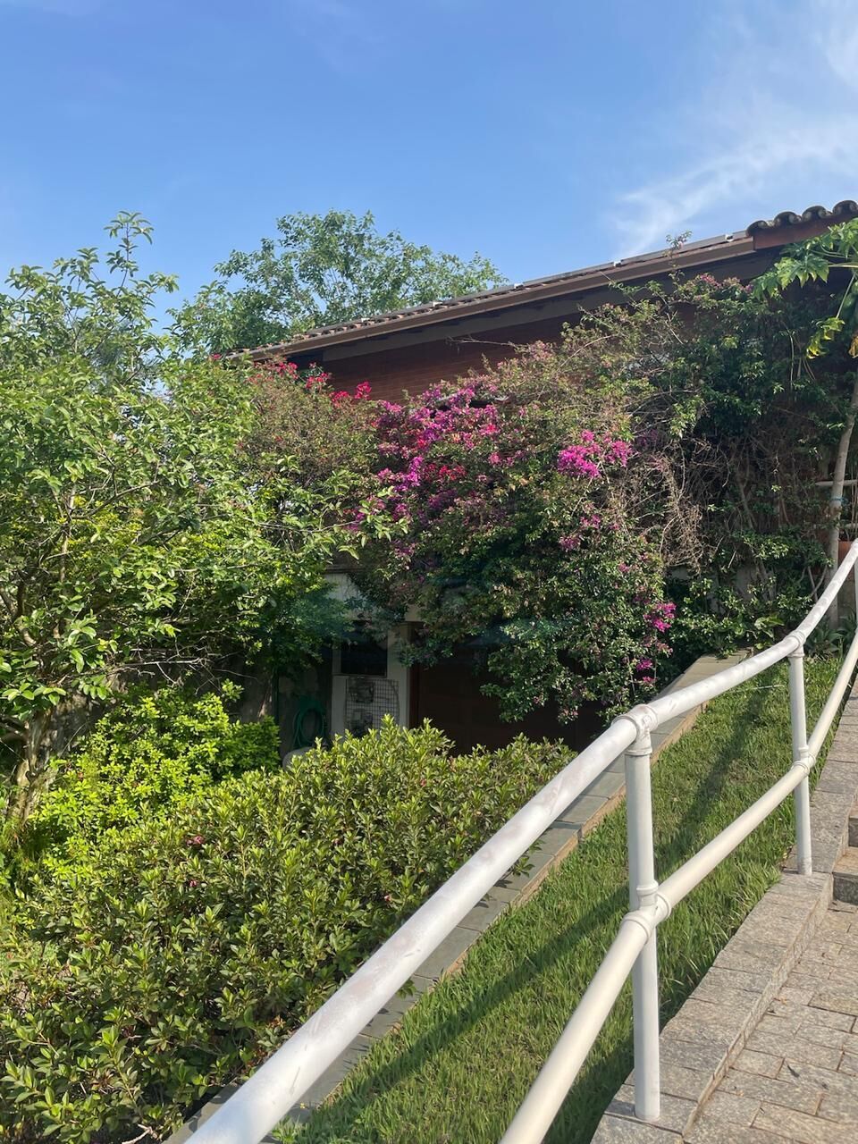 Sítio, 3 quartos, 357 m² - Foto 37