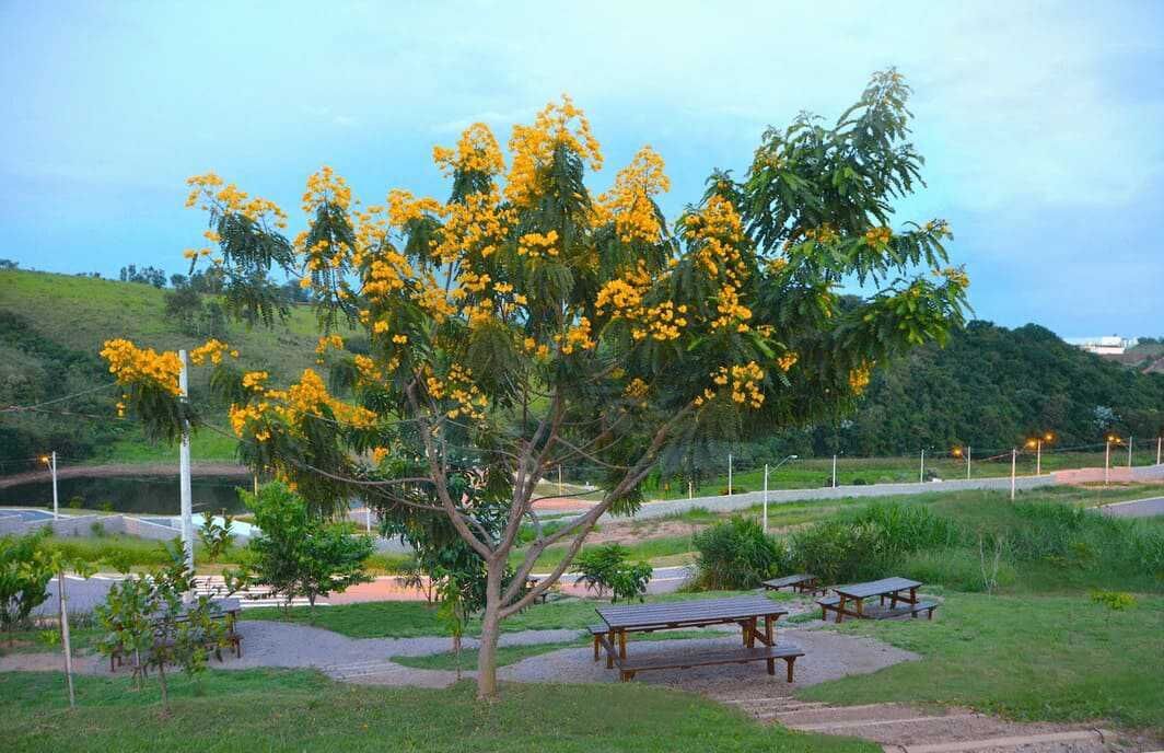 Terreno à venda, 400m² - Foto 6