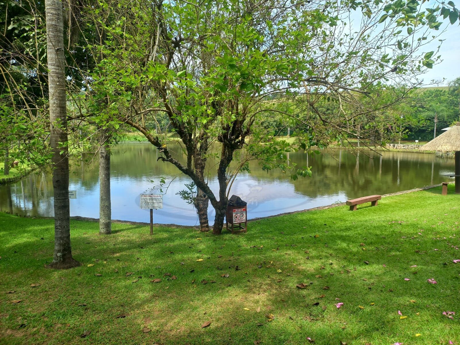 Terreno, 1265 m² - Foto 11