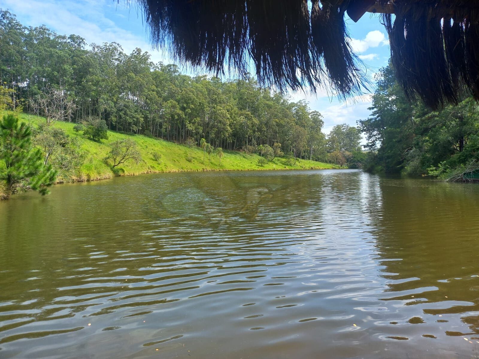 Terreno, 1265 m² - Foto 7