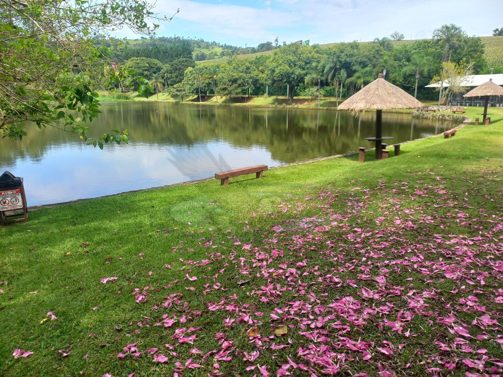 Terreno, 1265 m² - Foto 1