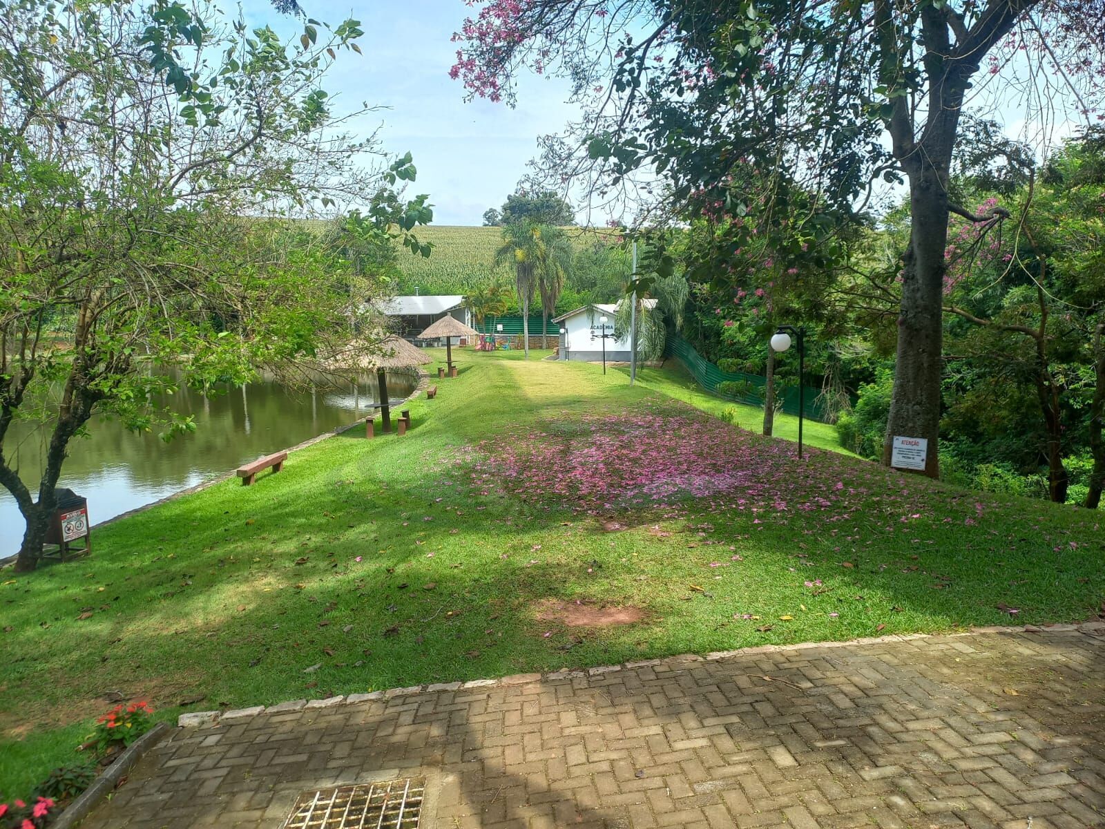 Terreno, 1265 m² - Foto 12