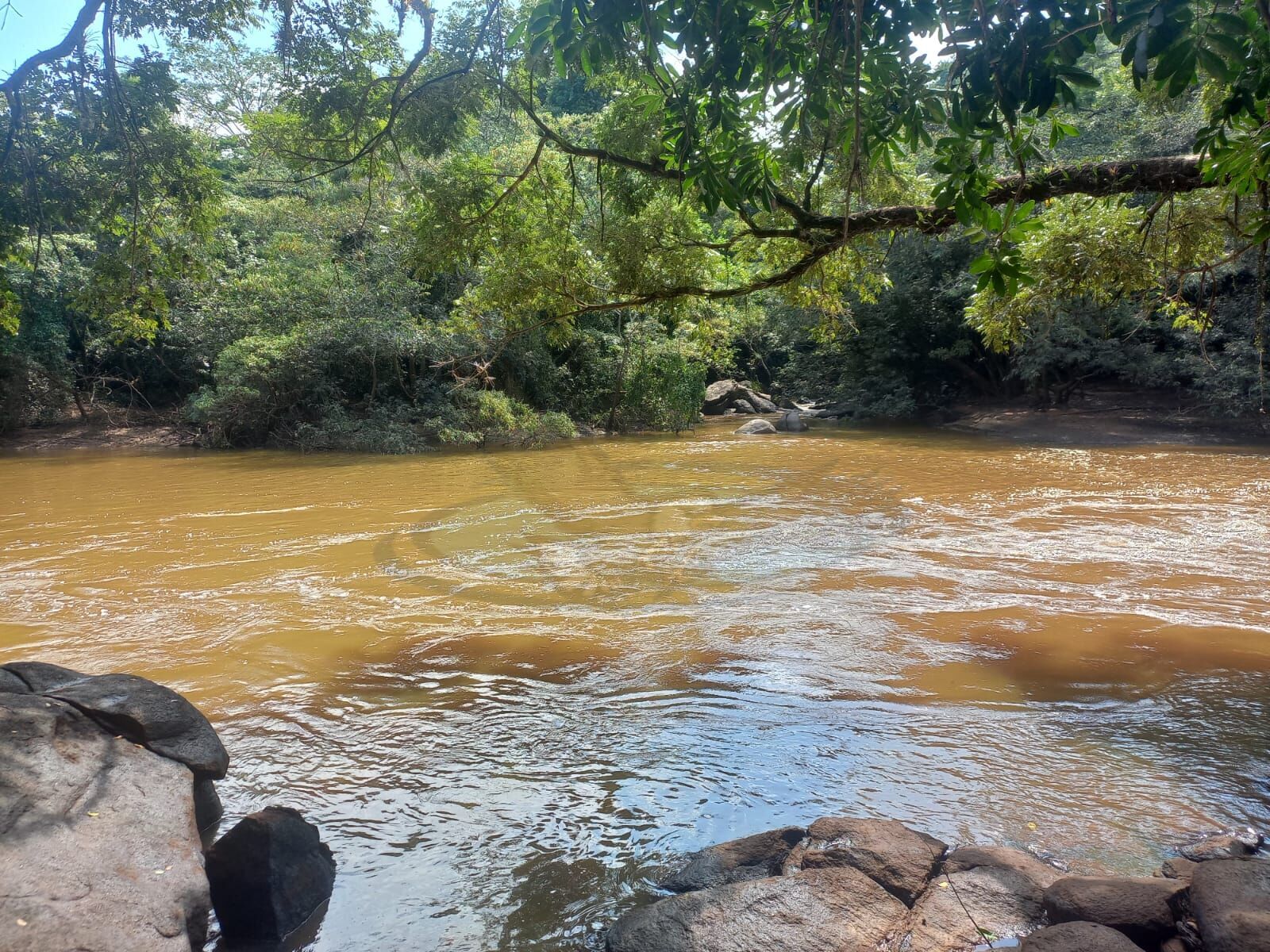 Terreno, 1265 m² - Foto 6