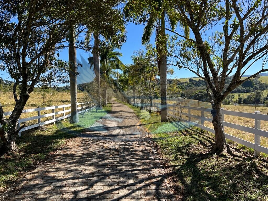 Fazenda à venda com 16 quartos, 300000m² - Foto 4