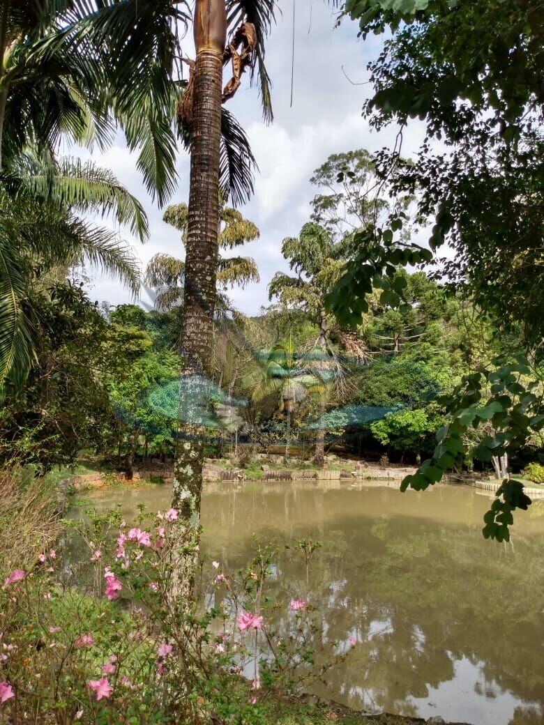 Fazenda à venda com 3 quartos, 24000m² - Foto 8