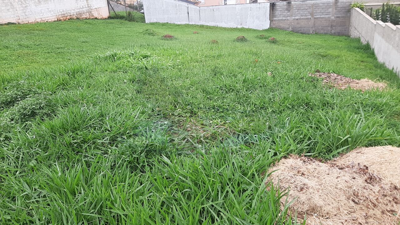 Terreno à venda, 410m² - Foto 13