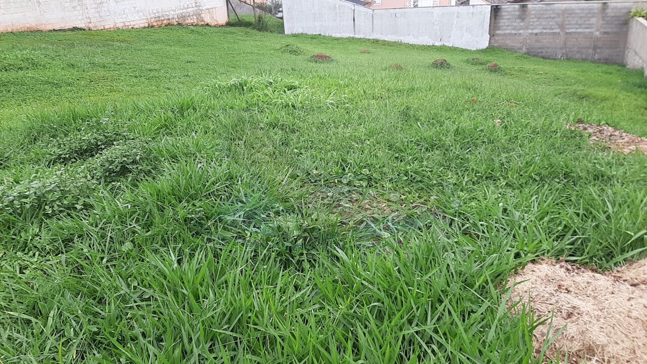 Terreno à venda, 410m² - Foto 14