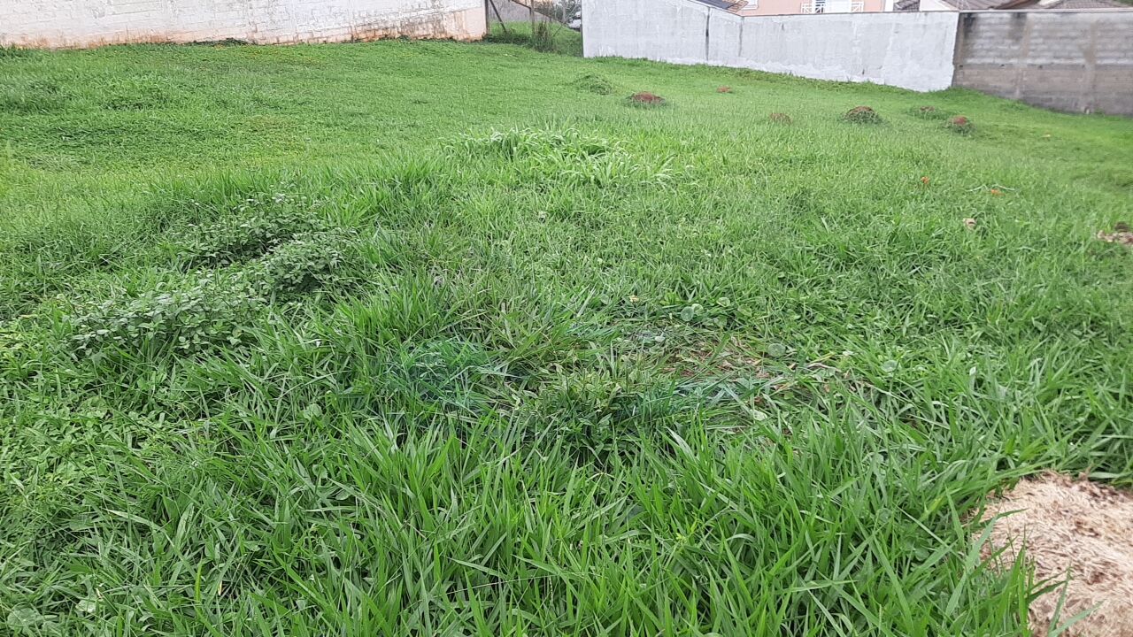 Terreno à venda, 410m² - Foto 5