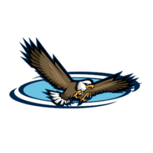 Falcon Transacoes Imobiliarias