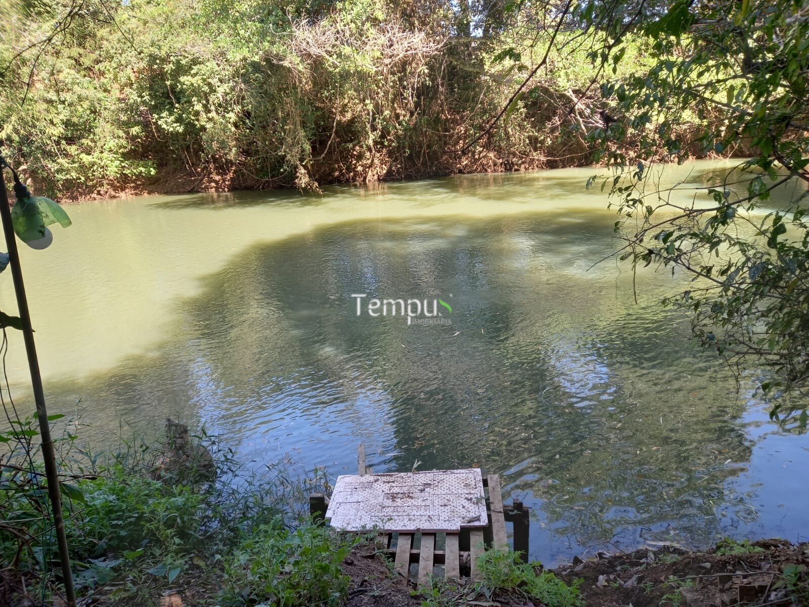 Fazenda à venda com 1 quarto, 1820m² - Foto 31