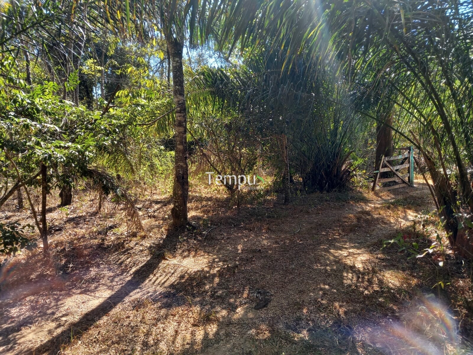 Fazenda à venda com 1 quarto, 1820m² - Foto 44