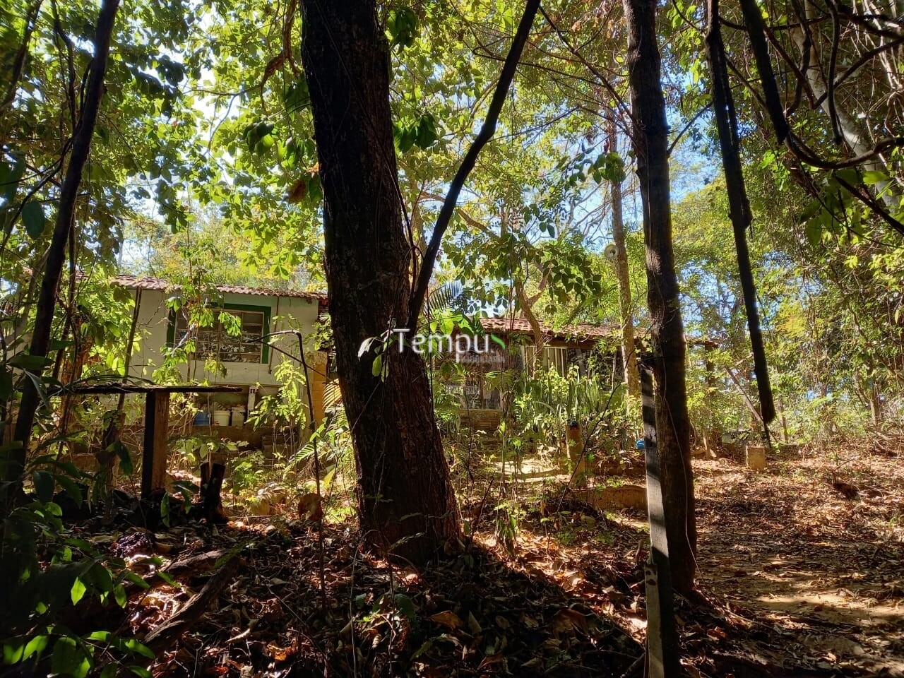 Fazenda à venda com 1 quarto, 1820m² - Foto 32