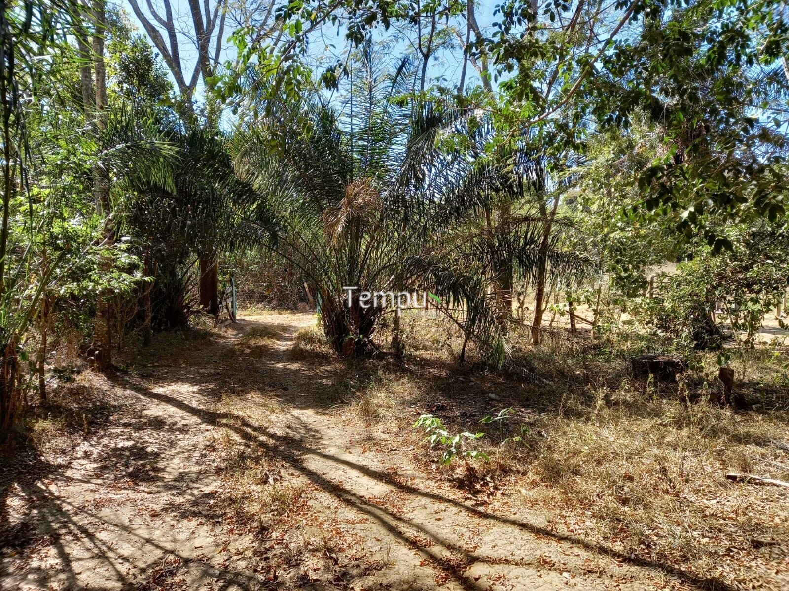 Fazenda à venda com 1 quarto, 1820m² - Foto 46