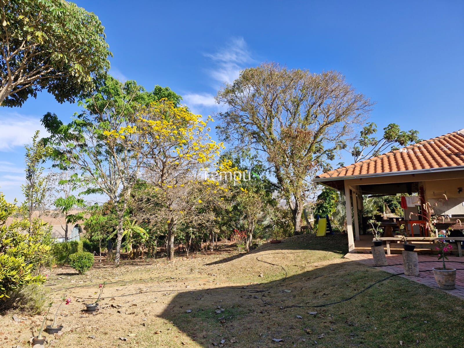 Fazenda à venda com 3 quartos, 5000m² - Foto 10