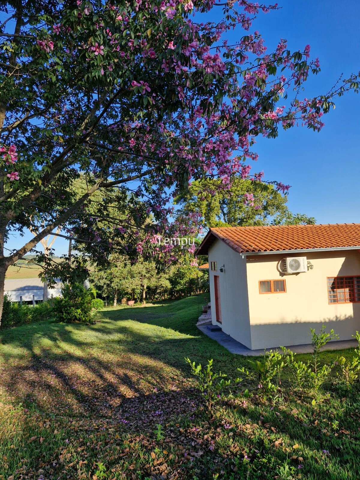 Fazenda à venda com 3 quartos, 5000m² - Foto 8