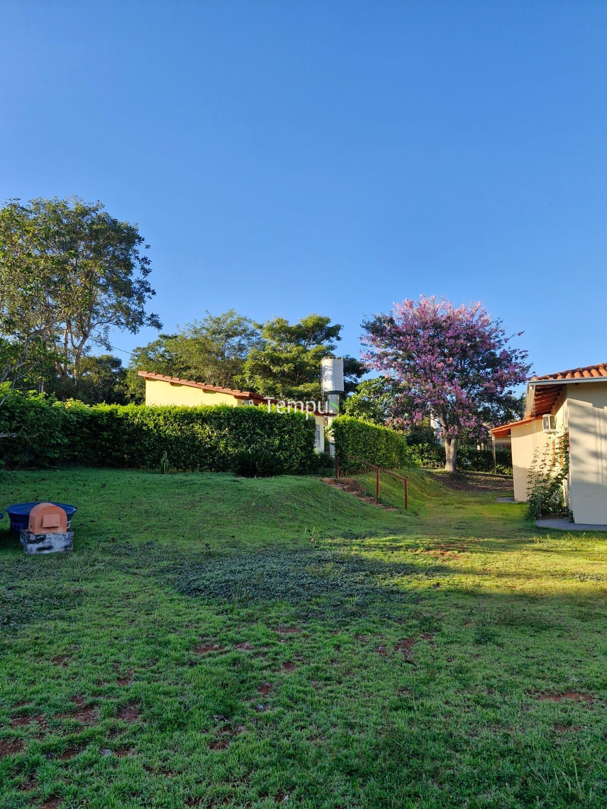 Fazenda à venda com 3 quartos, 5000m² - Foto 9