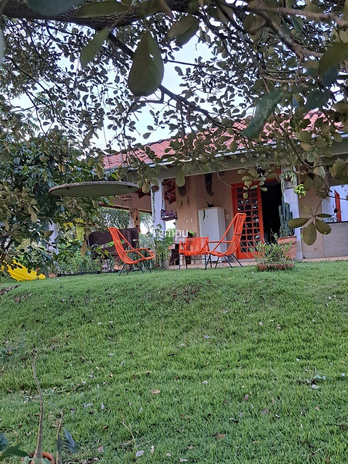 Fazenda à venda com 3 quartos, 5000m² - Foto 4