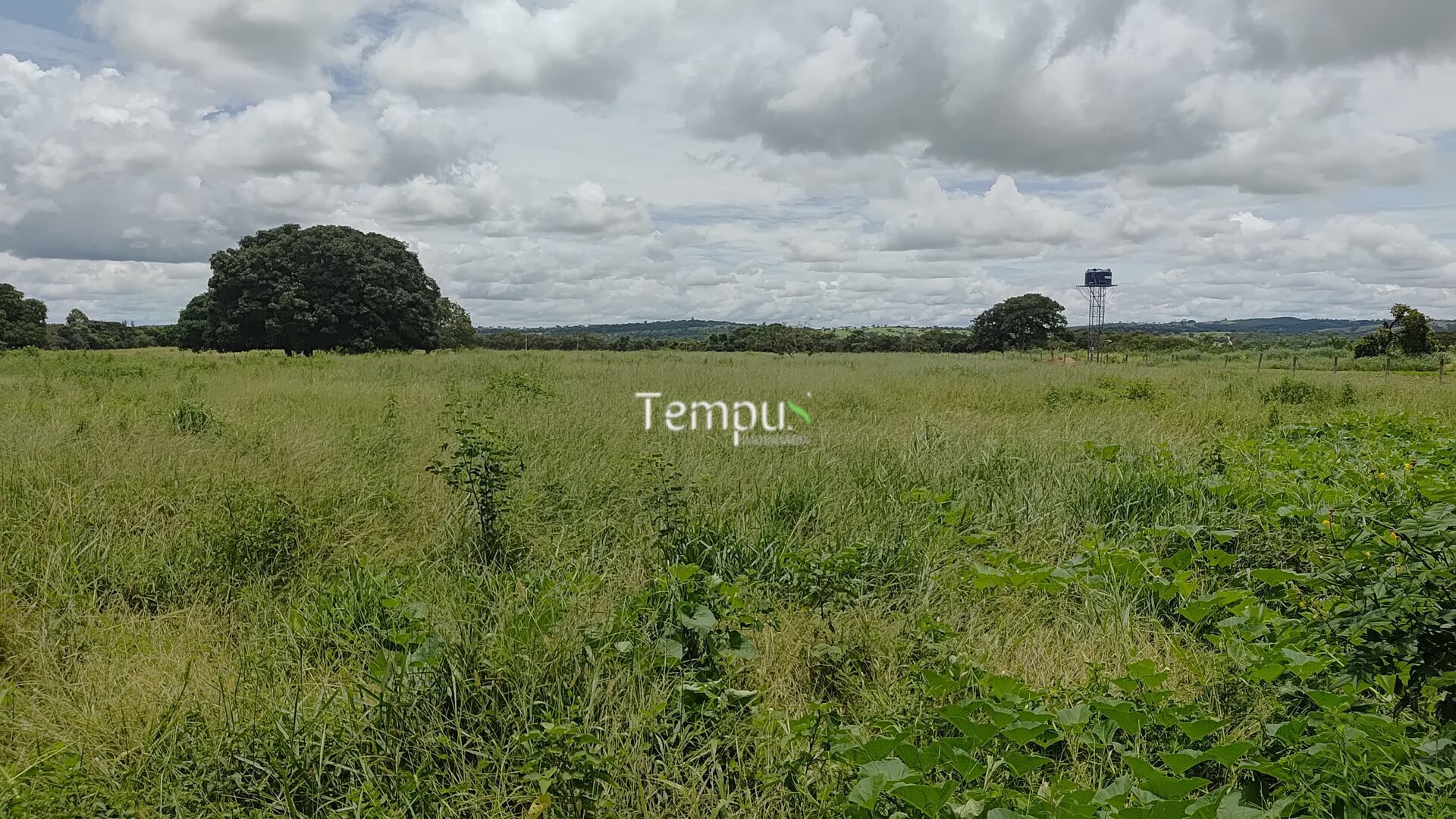 Terreno à venda, 8743m² - Foto 3