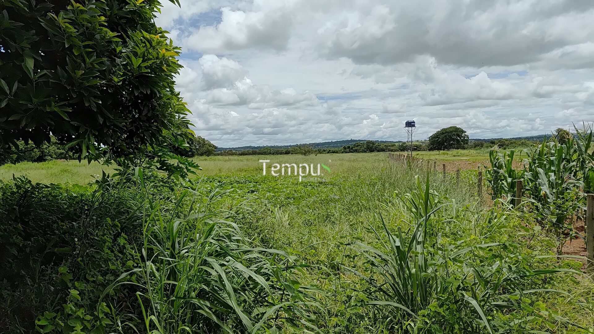 Terreno à venda, 8743m² - Foto 4