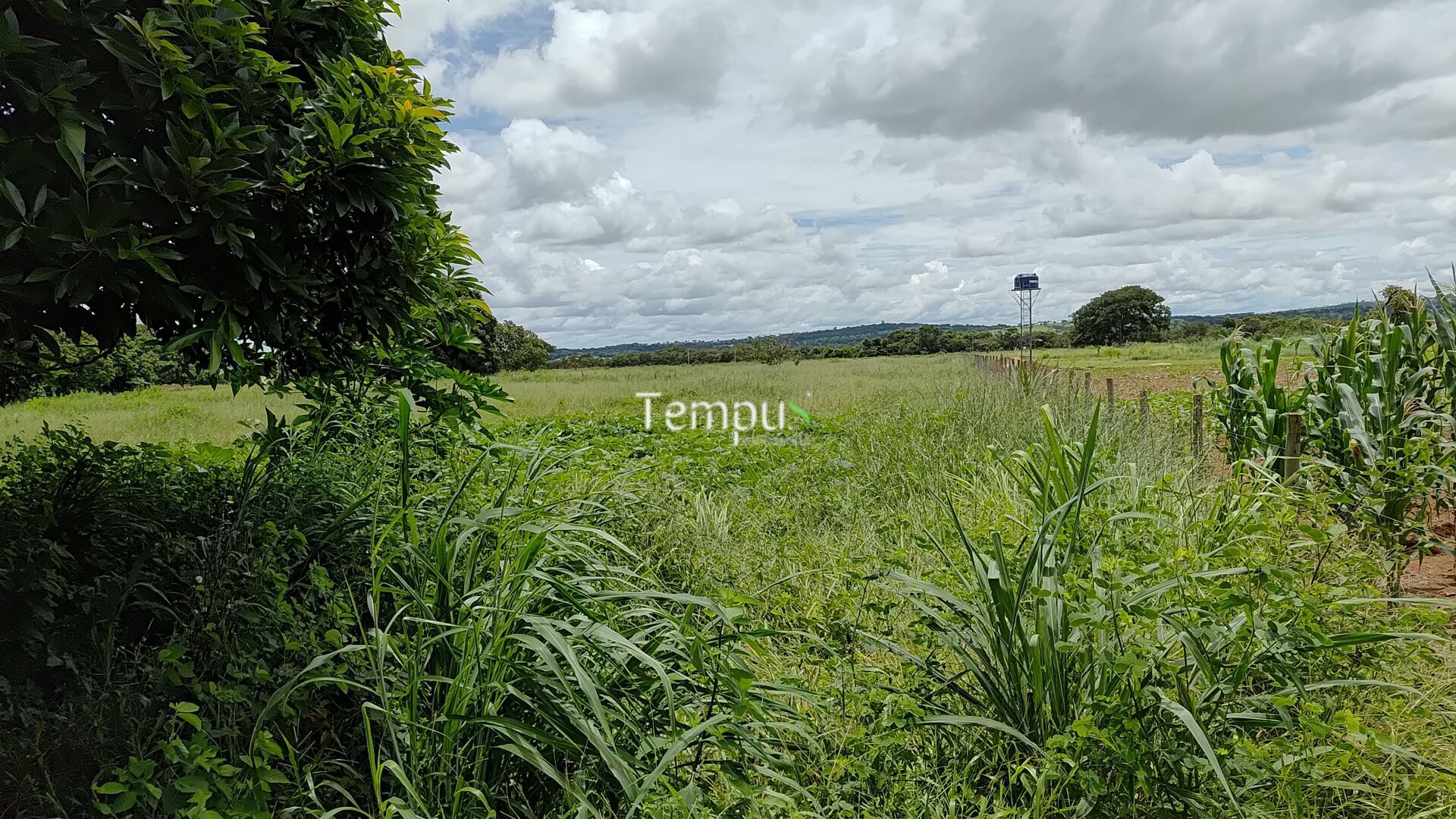 Terreno à venda, 8743m² - Foto 6